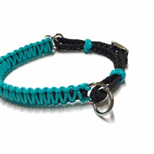 May include: A turquoise and black braided dog collar with a silver D-ring.