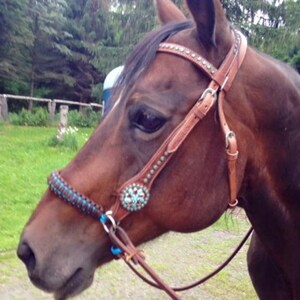 Side pull hackamore bridle attachment with a whoa brown over your choice of color image 6