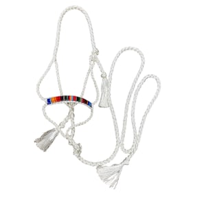 Mule tape halter with serape noseband and optional lead