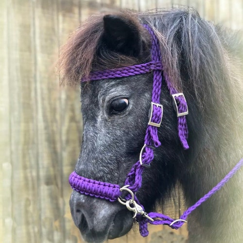 Pony bitless bridle pony tack, pony or miniature horse hackamore many colors to choose from