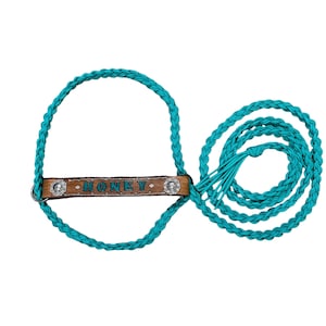 Hand tooled and hand painted large  cow halter