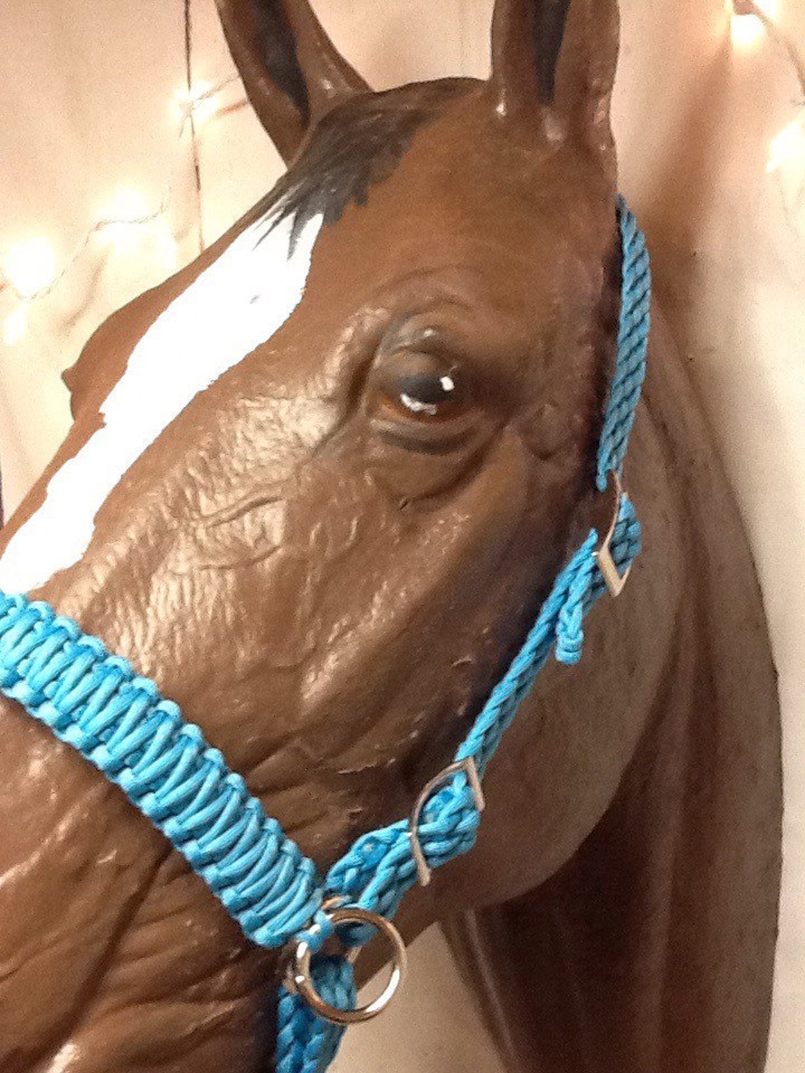 Bitless Bridle Side Pull Hackamore With Simple Headstall Black Etsy