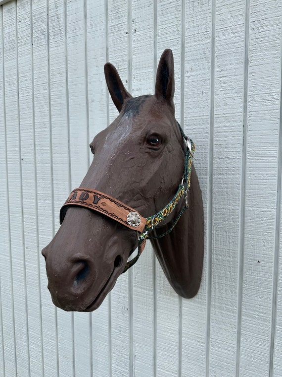 Attache fenders cuir - Selles western - La  : tout l'équipement et le matériel pour le cheval et l'équitation, le sport ou loisir équestre