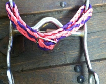 May include: A silver horse bit with a pink and purple braided rope attached to it.
