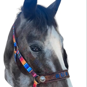 Personalized serape  print horse halter