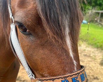 Personalized  horse halter grey