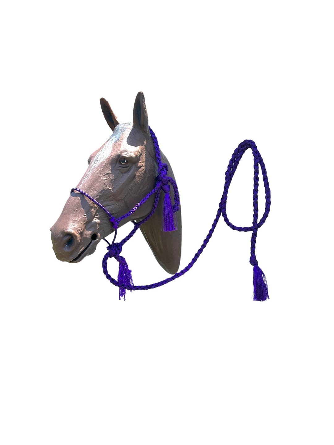 New! Leopard Mule Tape Halter