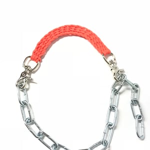 Goat collar, goat show  collar, show goat collar, chain goat collar, goat, collar, neon orange goat collar
