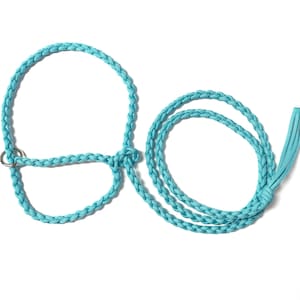 May include: A light blue braided dog leash with a matching slip lead. The leash has a metal ring at the end and a tassel.