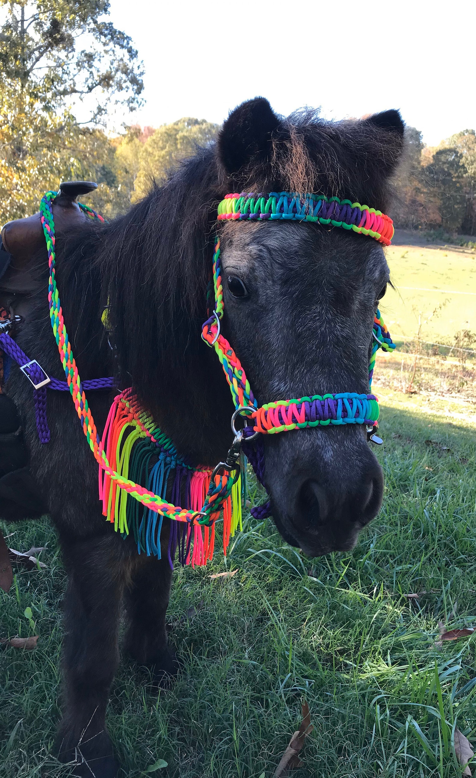 Miniature Horse Tack Set Pony Tack Set Rainbow Pony Tack Etsy