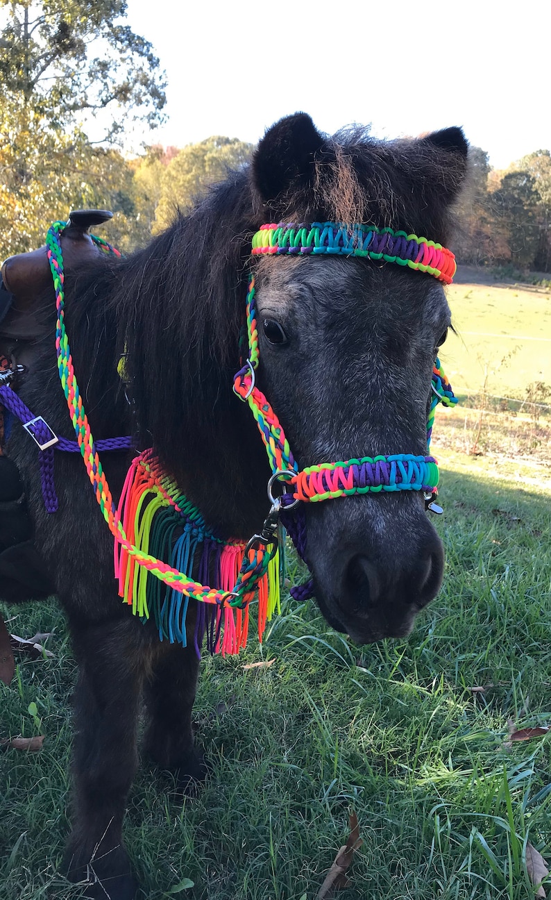 Miniature Horse Tack Set Pony Tack Set Rainbow Pony Tack Etsy