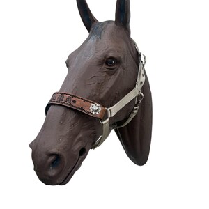 Personalized tan nylon horse halter