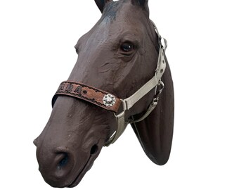 Personalized tan nylon horse halter
