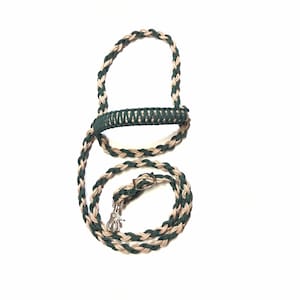 Smaller Steer Show Halter, livestock lead