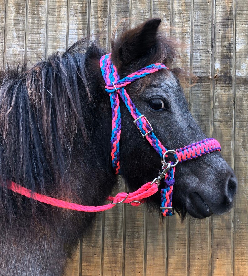 Pink Purple and turquoise pony bitless bridle miniature Etsy