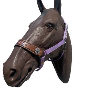 Personalized  horse halter light purple