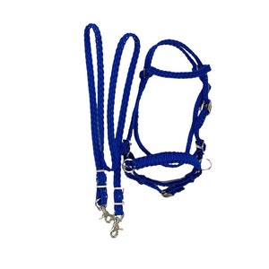 May include: A blue braided rope halter and lead rope set for horses. The halter has a metal buckle and the lead rope has a metal snap hook.