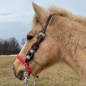 side pull attachment all sizes, side pull hackamore in solid colors that attach to your own headstall