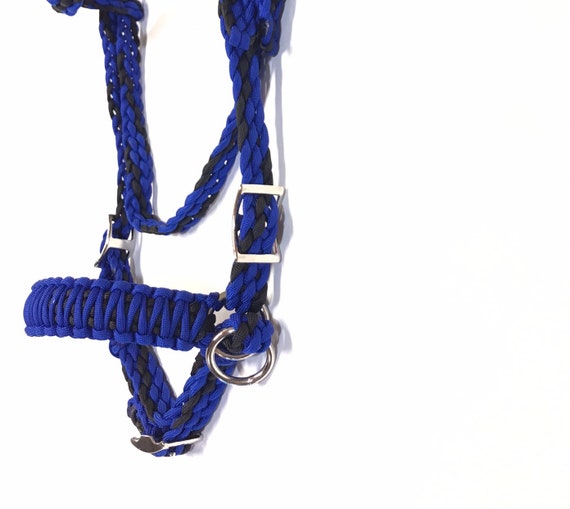 miniature horse bridle miniature horse pony bridle Blue and Black pony