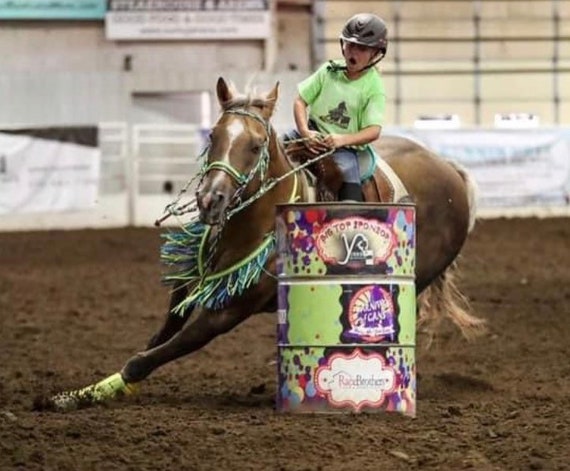 Small Tack Small Pony Tack