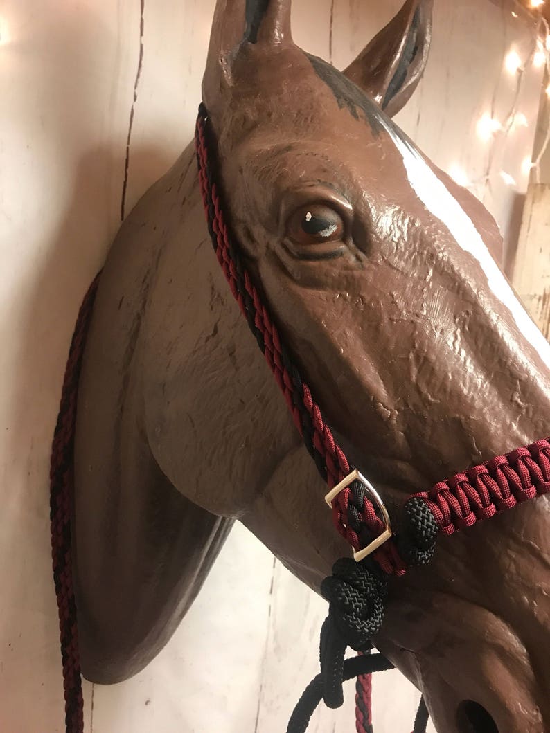 Bitless Bridle Indian Bosal Bitless Headstall Bridle Set Etsy