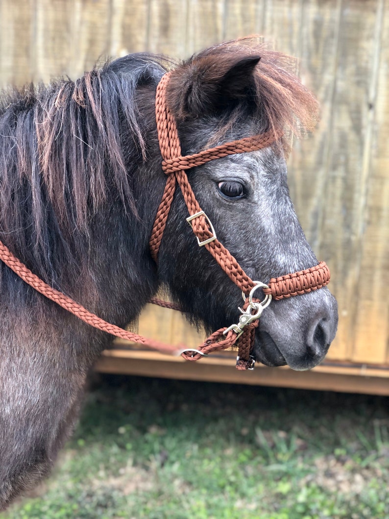 Pony Bitless Bridle Miniature Horse Miniature Horse Bridle Etsy Denmark