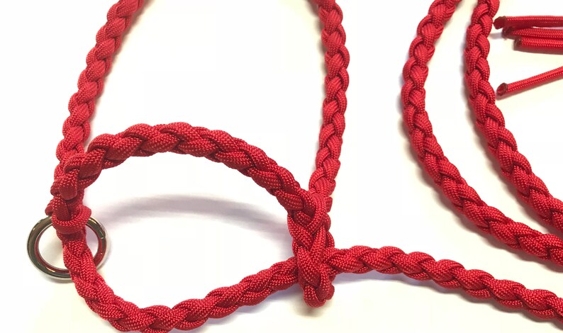 goat halter and lead, dwarf goat halter, dwarf goat lead, small goat halter, small livestock halter, nubian goat halter, alpaca halter image 2