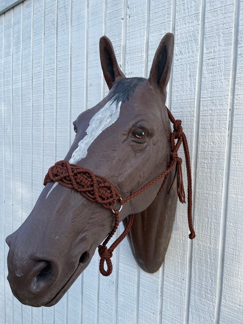 Halter Beautiful Braided Paracord Horse Halter Etsy