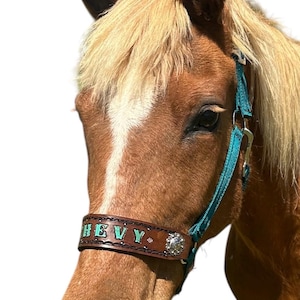 Personalized dark teal horse halter