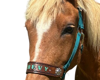 Personalized dark teal horse halter