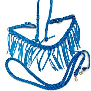 Blue mule tape tripping collar horse tack set