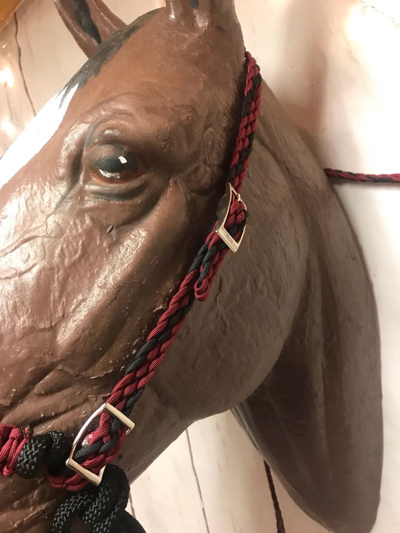 Bitless bridle indian bosal bitless headstall bridle set Etsy