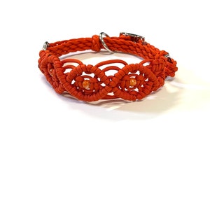 May include: Orange braided dog collar with a silver buckle and orange beads.
