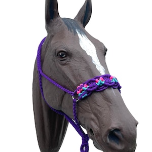 Braided Paracord horse halter purple, neon turquoise, and hot pink