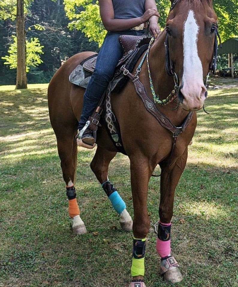 Brown Cinch Colored Cinch Strap Horse Tack Patterned Etsy