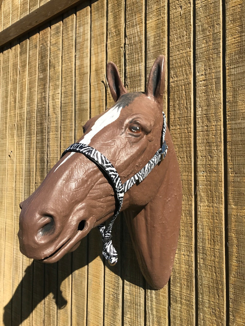 Zebra horse tack tie down noseband for barrel racing nylon Etsy