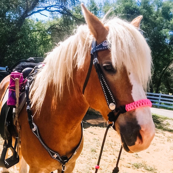 Bosal indien Paracord avec anneaux couleurs personnalisées, punaise de cheval à bride sans mors