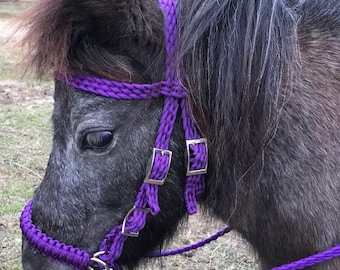 Pony bitless bridle…Hackamore comes off and you can add a bit