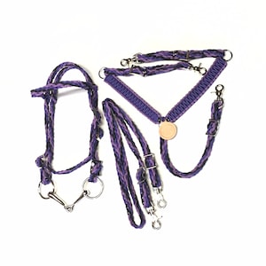 Small pony or miniature horse tack set with pony bridle, bit, and 5&#39; reins and breast collar custom colors