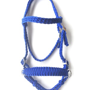 May include: A blue braided horse halter with silver hardware.