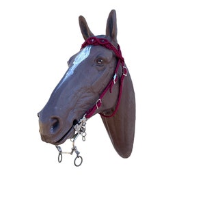 Macrame bridle with indian agate gemstones