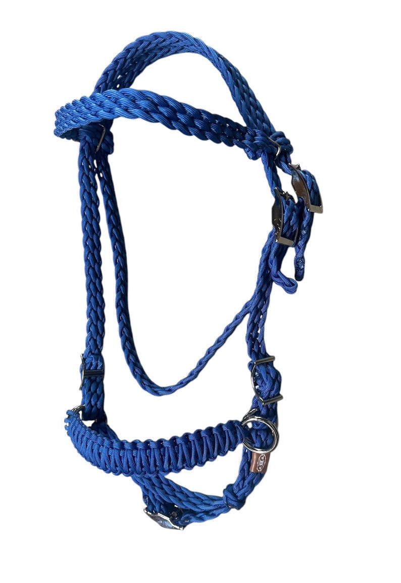 May include: A blue braided rope horse halter with silver buckles and a silver ring. The halter has a brown leather tag with the word "GOGO" on it.