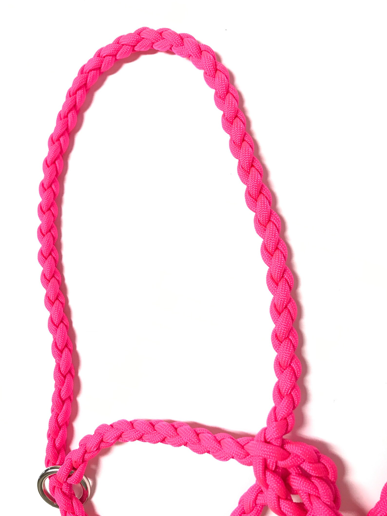 Dwarf Livestock Lead Pygmy Goats Sheep Alpacas Goat Etsy