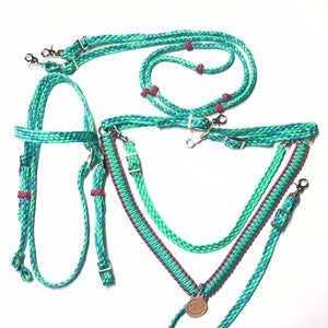 Mint green horse tack set with breast collar, reins, and bridle