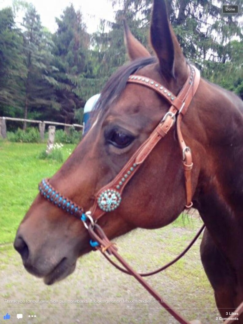 Side pull hackamore bridle attachment with a whoa Turquoise, brown or black chinstrap, mini to draft size image 9