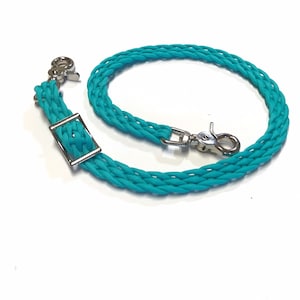 May include: A turquoise braided rope lead with silver clips and a silver buckle. The lead is approximately 4 feet long.
