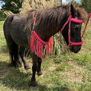 Miniature horse or pony  therapy pony set…fringe collar set  to use without a saddle