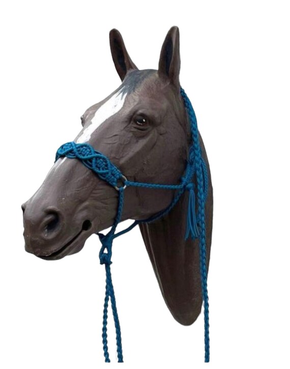 Horse halter deals