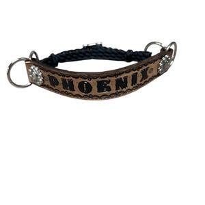 May include: A brown leather dog collar with the word "PHOENIX" embossed in black. The collar has a black braided rope section and silver-colored metal rings and embellishments. The collar is designed for a dog.