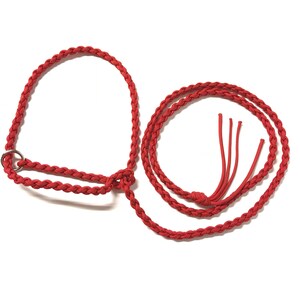 goat halter and lead, dwarf goat halter, dwarf goat lead, small goat halter, small livestock halter, nubian goat halter, alpaca halter image 4